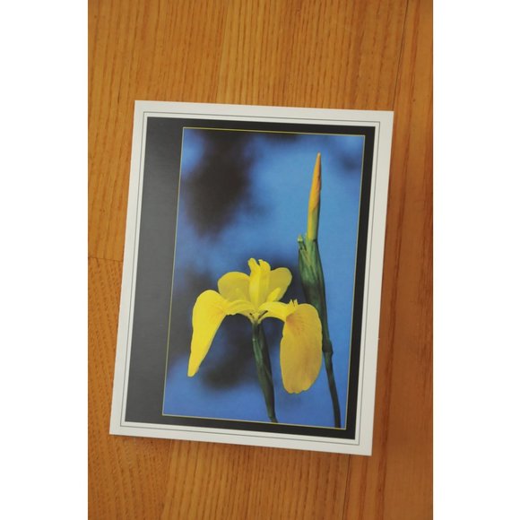 Fine Art Photography Note Cards - set of 4 - Picture 4 of 5
